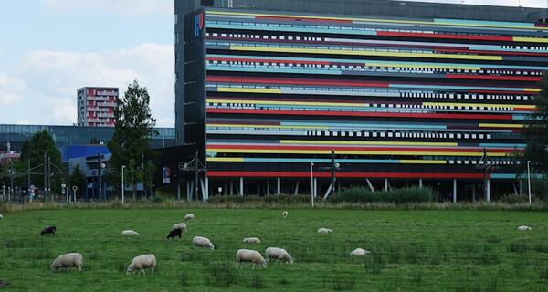 Kuliah di Belanda: Negeri Kincir Angin yang Ramah Mahasiswa Indonesia